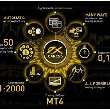 Trade on Exness - What you need to understand when trading